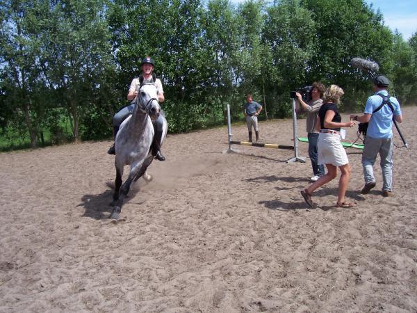 Paardspringen